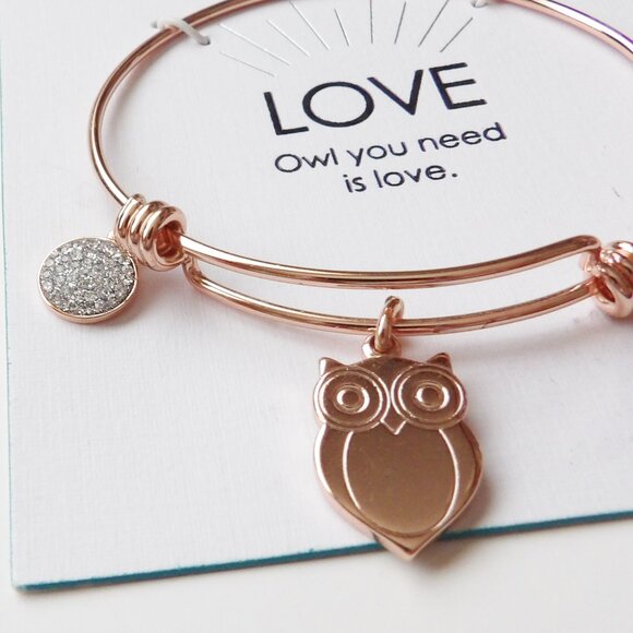 OWL You Need is Love Adjustable Copper Colored Charm Bracelet Silver Plated NEW - Picture 3 of 3